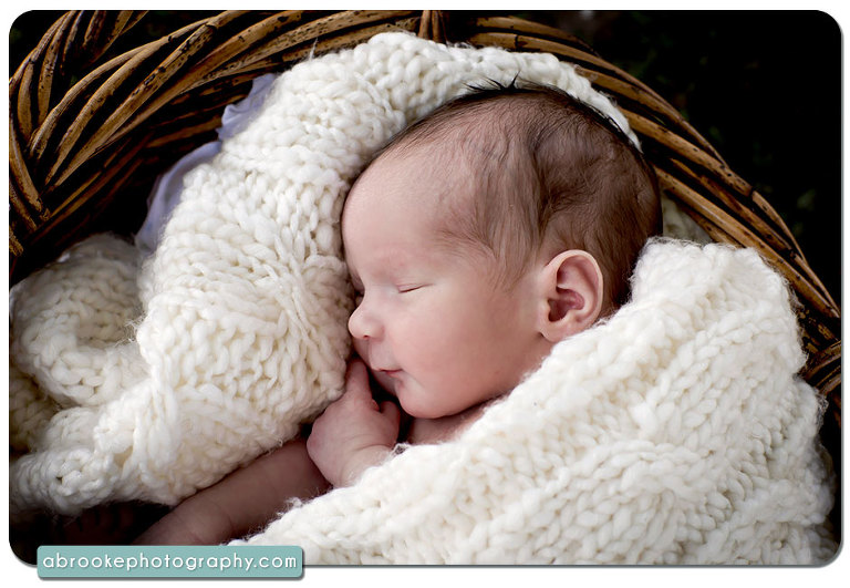 newborn photography