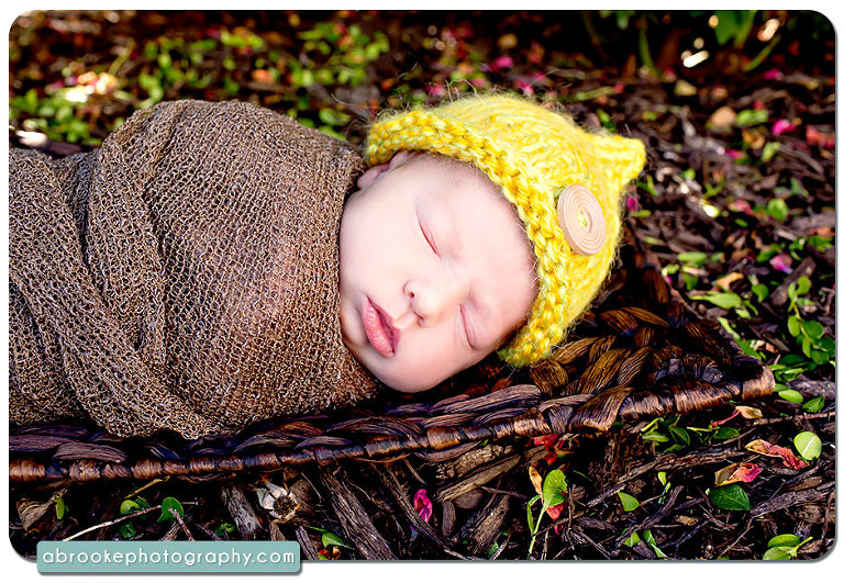 newborn picture